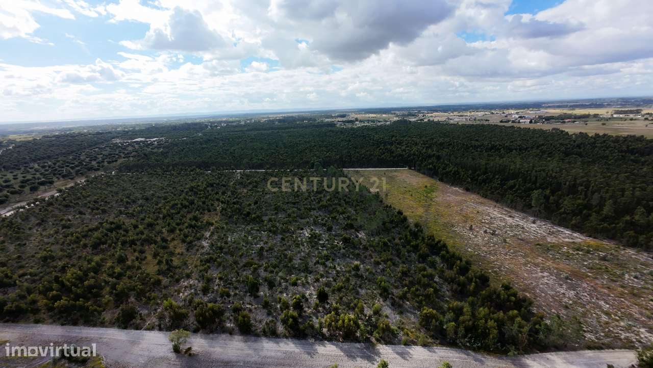 Magnifica Herdade Turística   em Santo Estêvão, Benavente-7