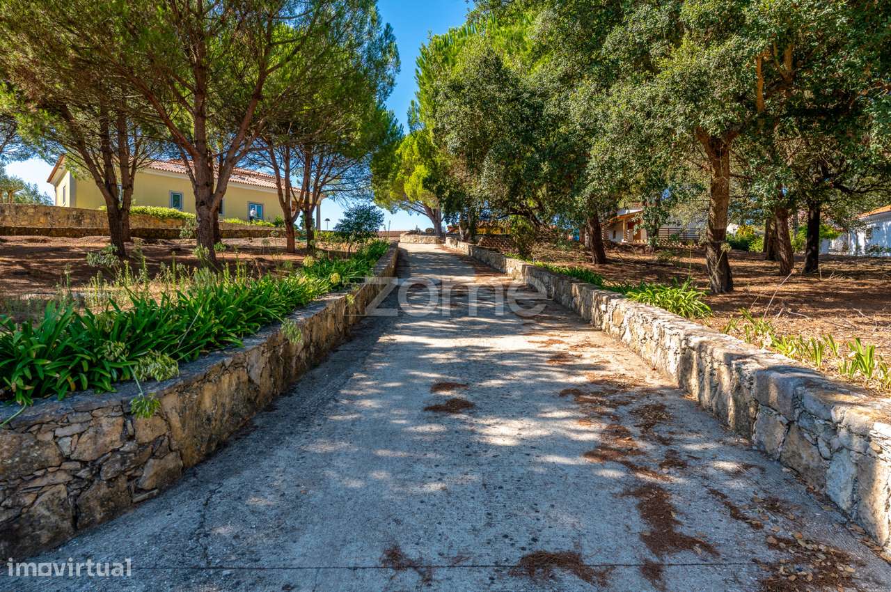 Quinta Monte da Varzea - Grande imagem: 4/60