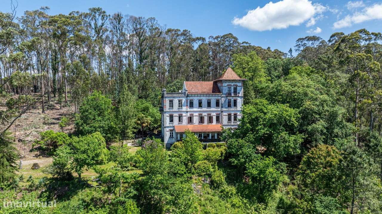 Quinta com Palacete e terreno de 50 ha em Seixoso - Felgueiras - Grande imagem: 2/59