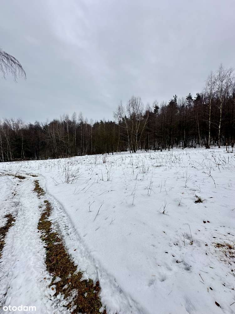 Duża działka pod lasem - Łazany blisko Wieliczki i Gdowa-9