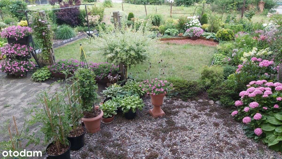 Cena stopniała szybciej niż śnieg!  Promocja!-11