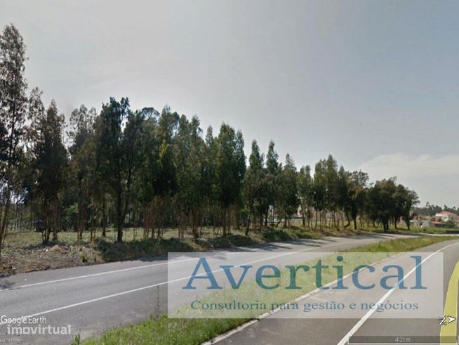 Terreno com 3 entradas - 70.000m2-3