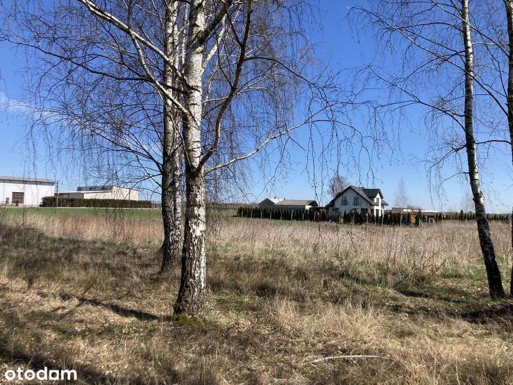 Działka, 4 100 m², Chynów - Pełny obrazek: 5/10