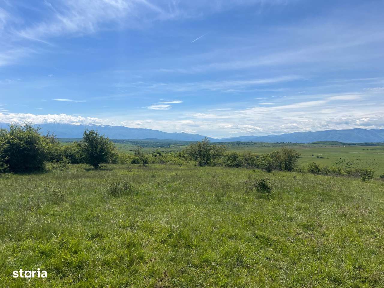 Teren in supr. de 45200 mp, pt constructii case sau hale industriale! - Imagine principală: 5/5