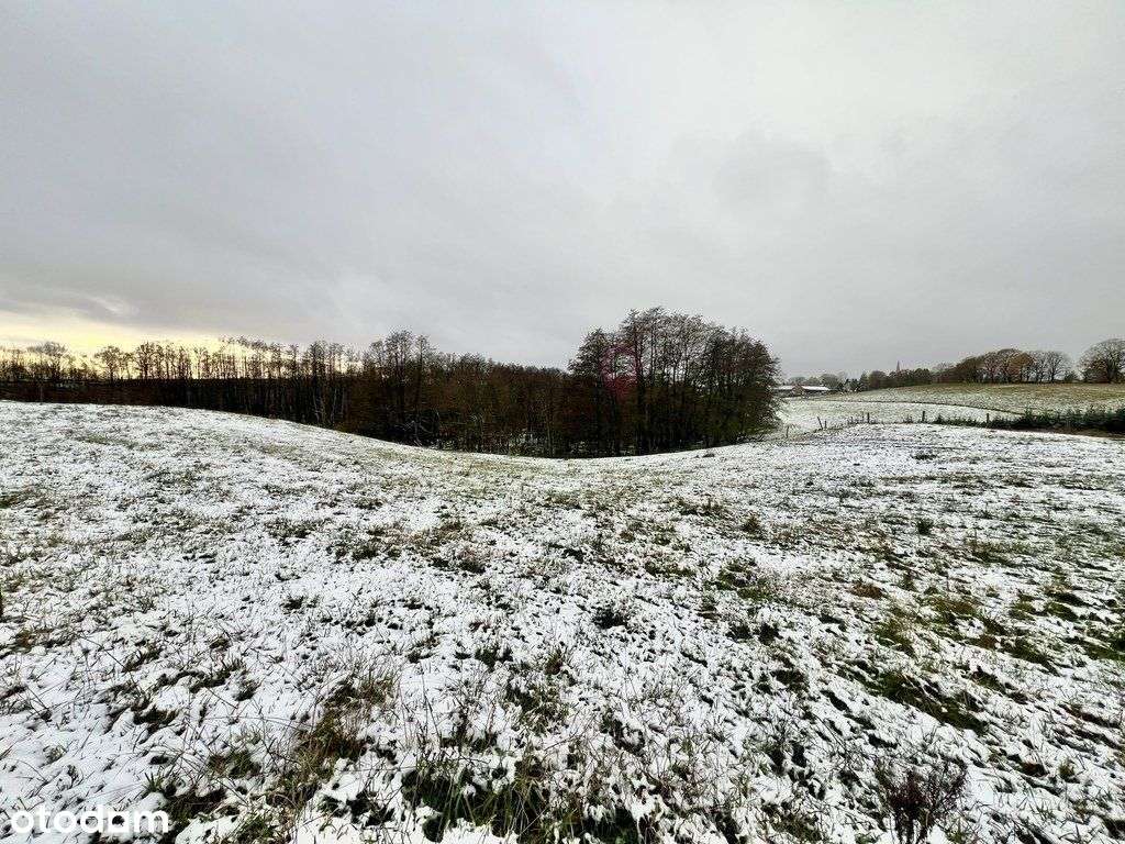 Duża działka w Kołowie! - Pełny obrazek: 4/8