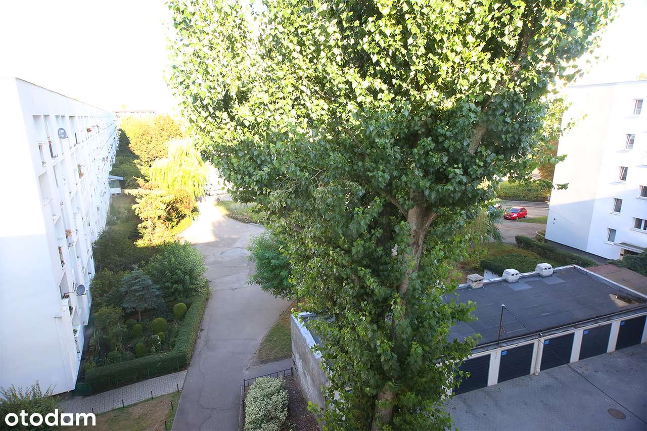 Przestronne 51m² -idealne dla rodziny i inwestora!-9