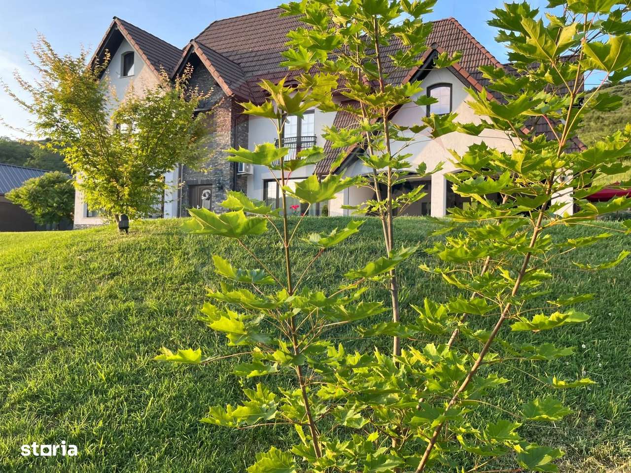 Casa de vanzare în Transilvania - Imagine principală: 2/8