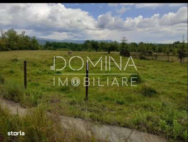 Vanzare teren 5000 mp, intravilan+extravilan, in comuna Crasna - Imagine principală: 4/4