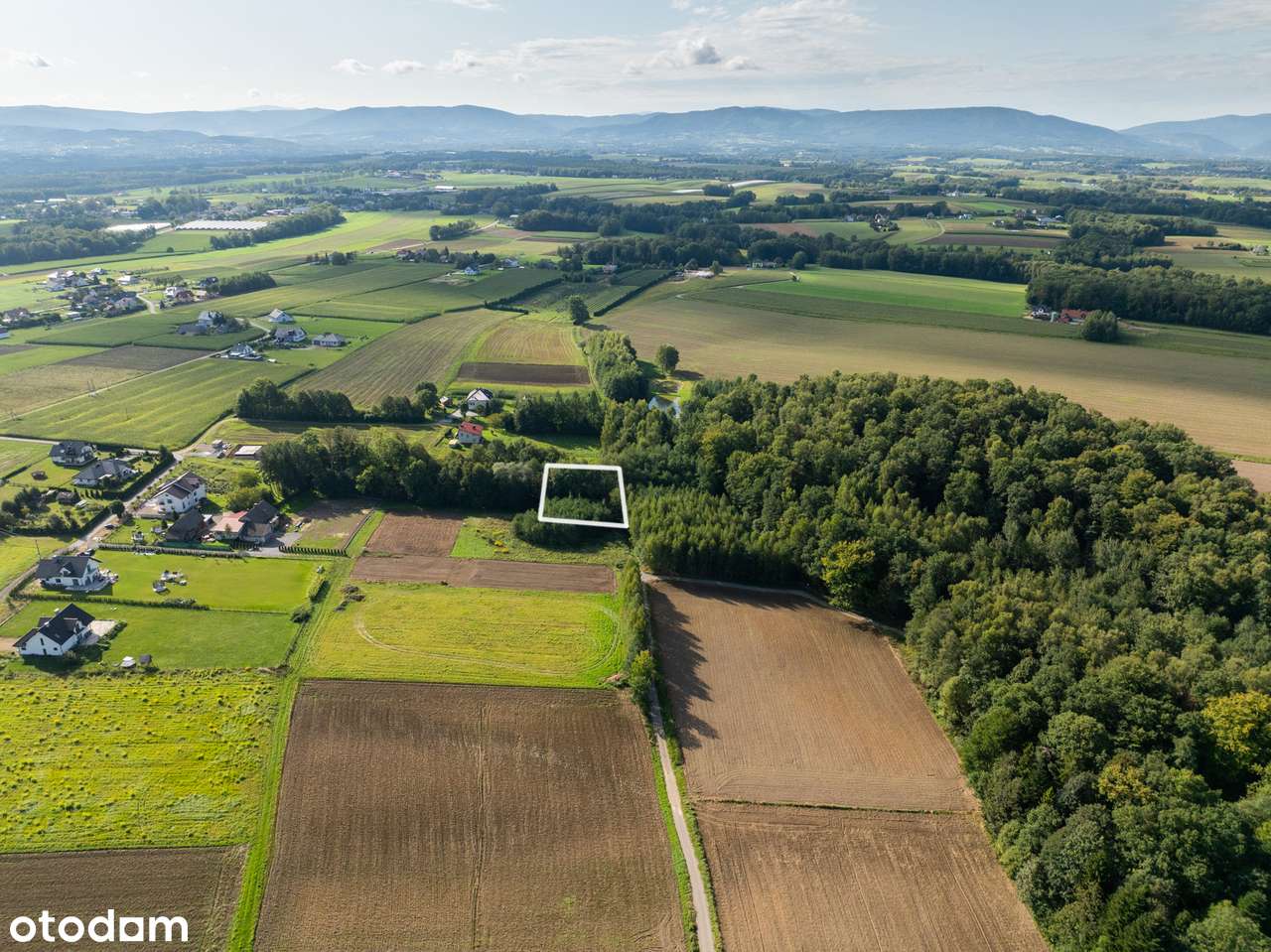 Działka budowlana z prywatnym lasem | Nidek-10