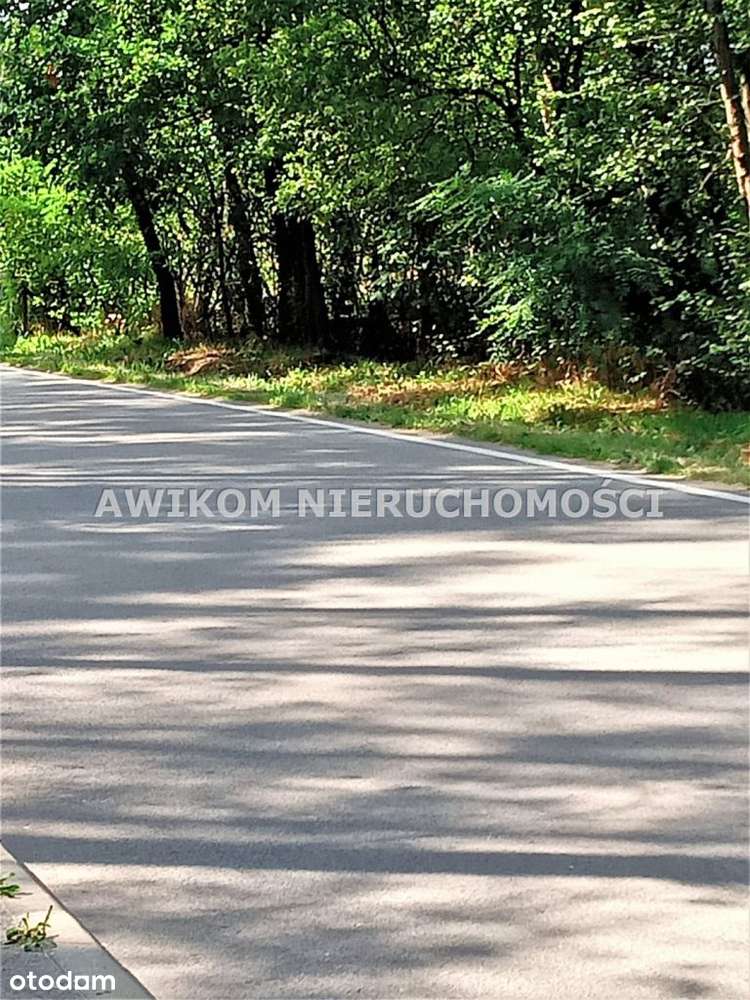 Działka, 4 000 m², Książenice - Pełny obrazek: 4/5