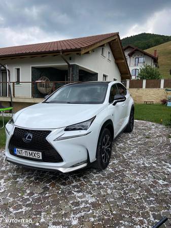 Lexus Seria NX 350h AWD 2.5 TNGA HV 25H CVT Luxury - 6