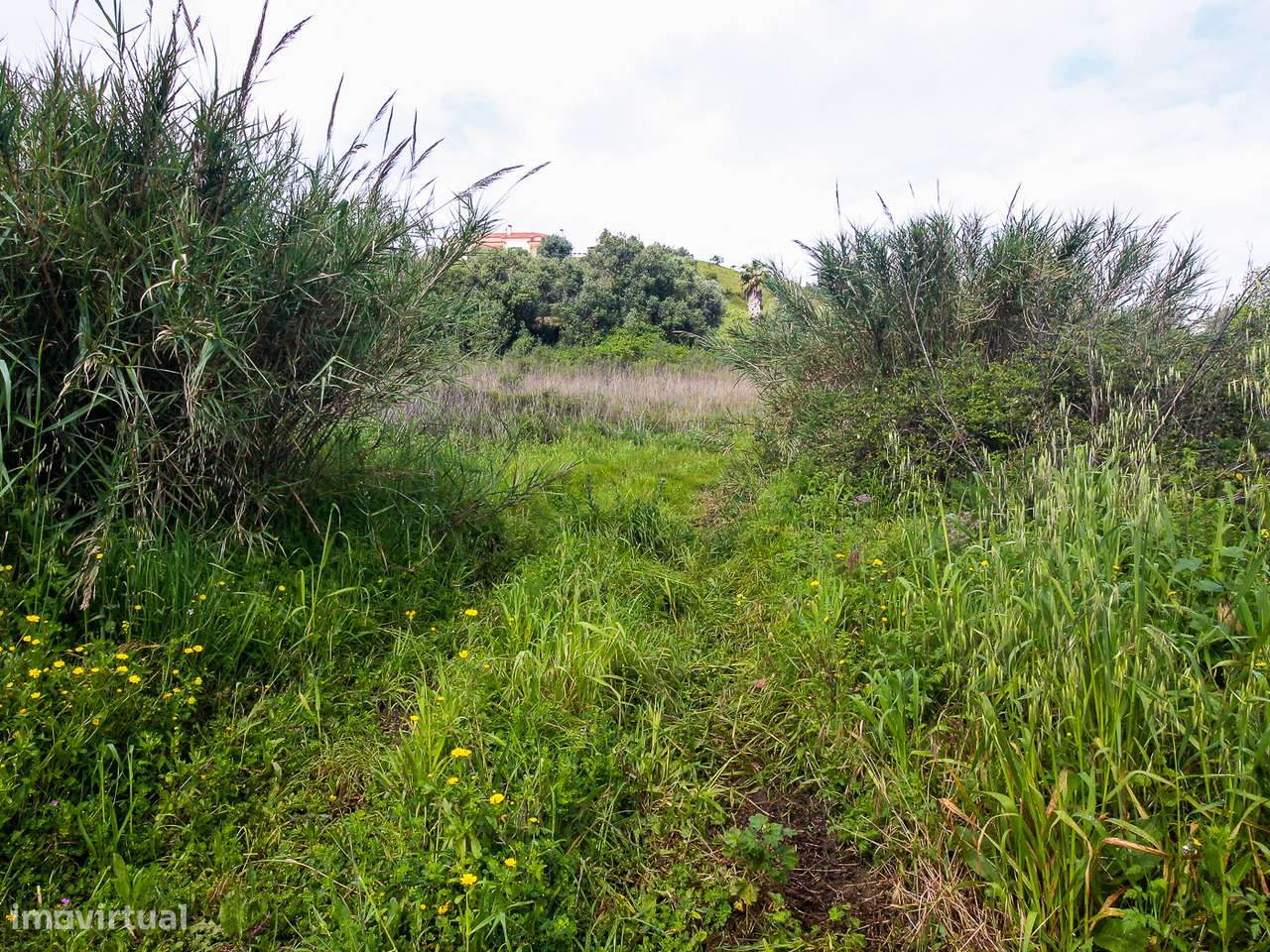 Terreno com 9.160m2 com viablidade de construção - Grande imagem: 3/16