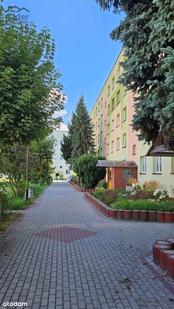 Sektor "Maciej", 6800zl/m2, 3 pokoje, loggia-2