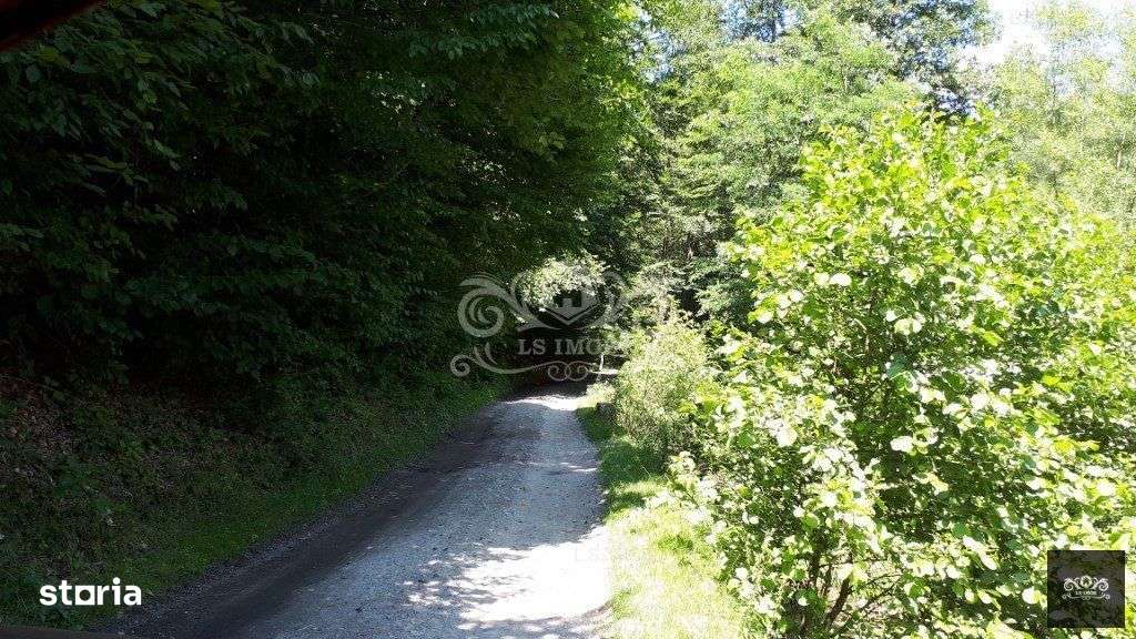 Vand teren si padure conifere in Albestii de Muscel. - Imagine principală: 5/7