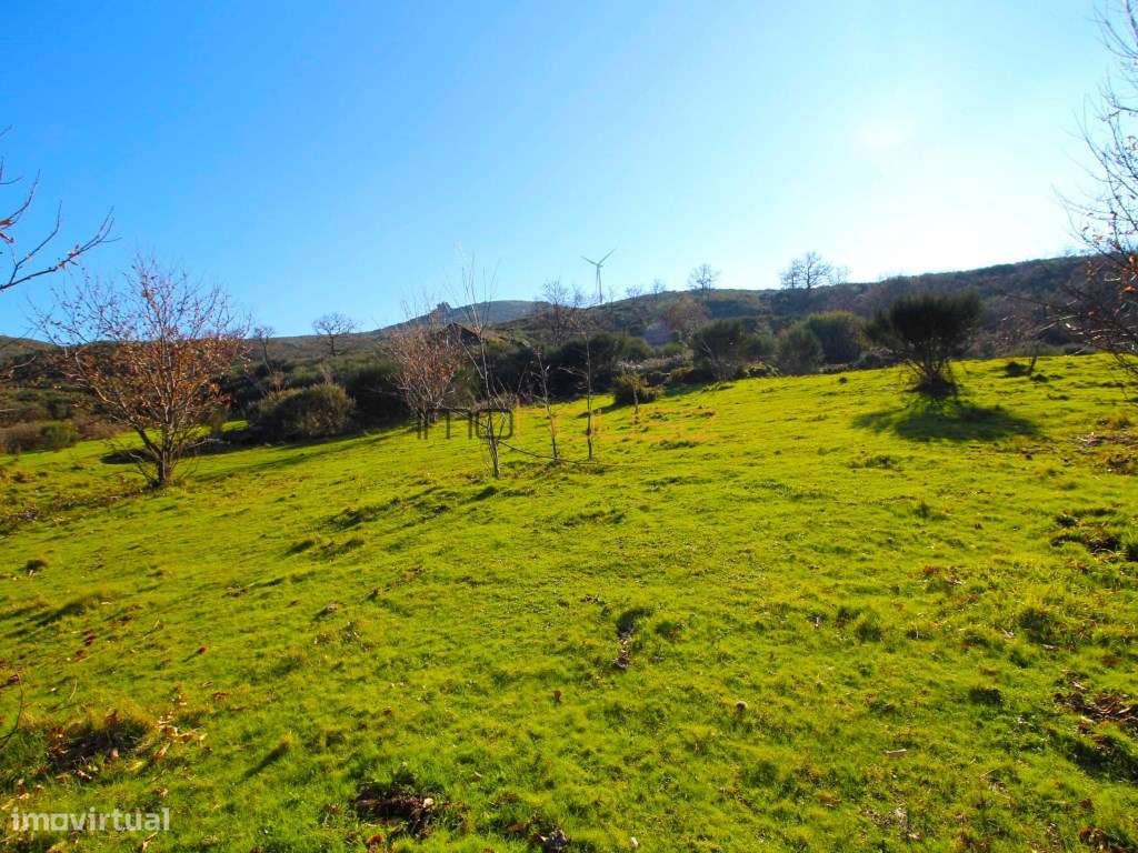 Terreno de 84 hectares-7