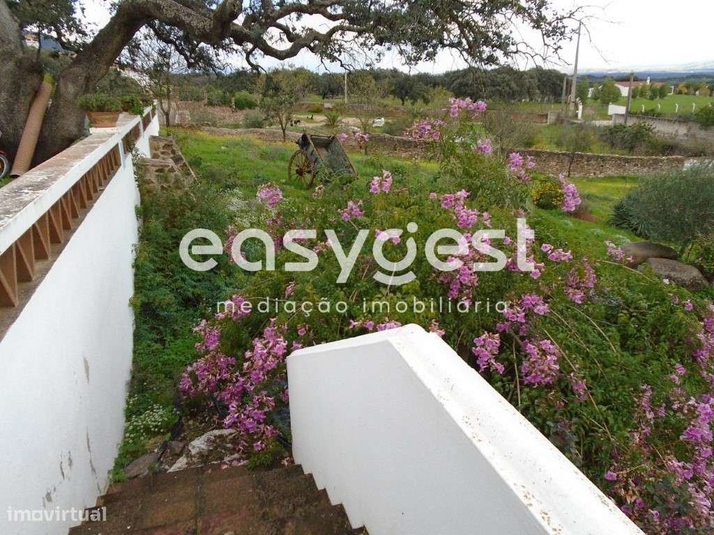 Quinta em Vila Verde de Ficalho - Grande imagem: 4/19