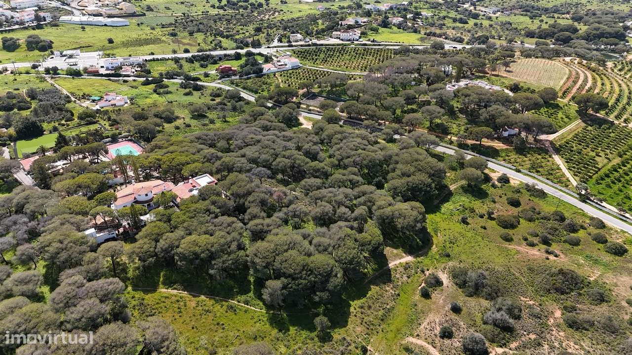Terreno Rústico, Porches, Lagoa - Grande imagem: 4/37