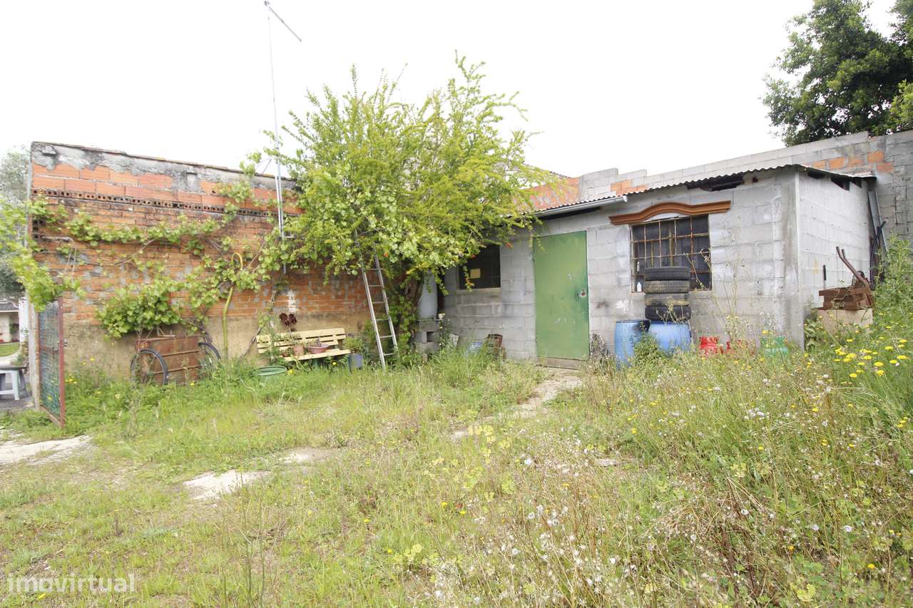 Moradia, 74 m², Brogueira, Parceiros de Igreja e Alcorochel-12