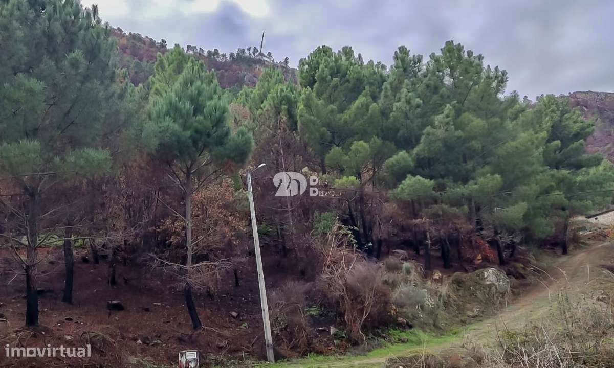 Terreno 8835m² - Távora - Grande imagem: 4/11