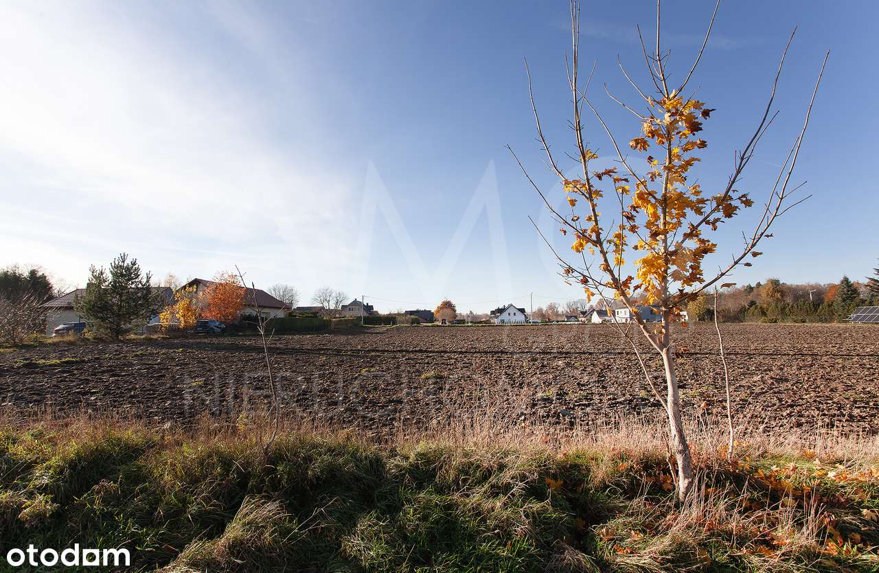 Działka 3022 m² | Leźno | Spokojna okolica-2