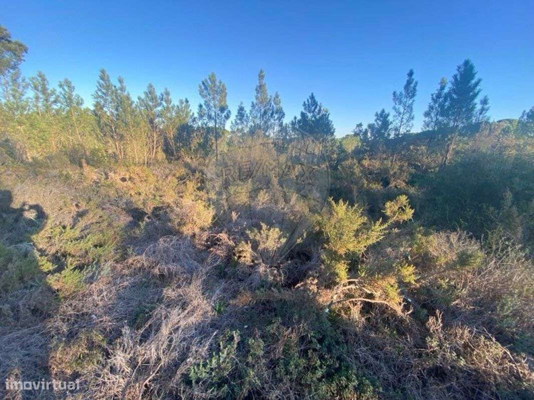 Terreno  para venda - Grande imagem: 4/29