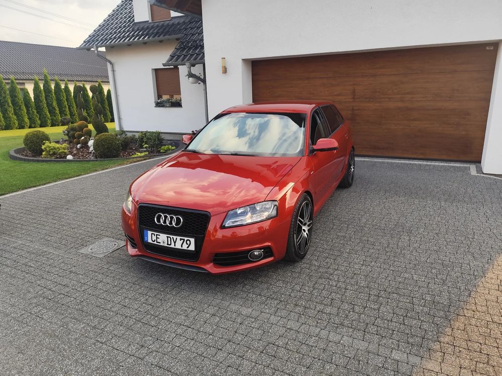 Audi A3 8P (2003-2012) 2011