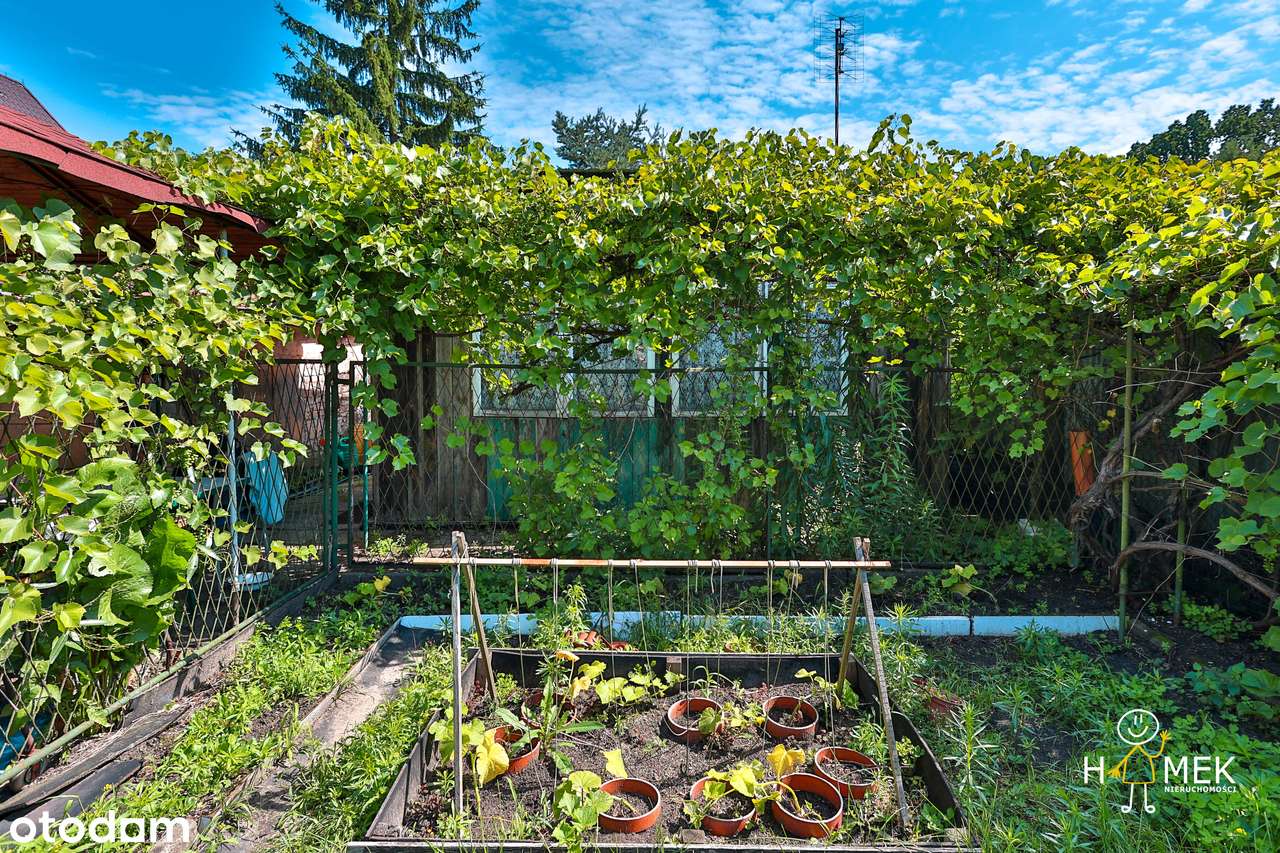 Duże Mieszkanie z Jeszcze Większym Potencjałem w Okazyjnej Cenie!-11