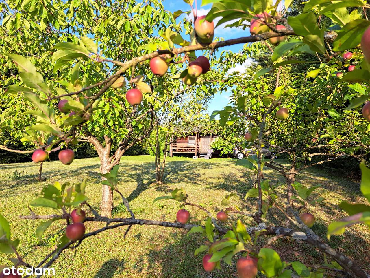 Piękny dom z linią brzegową j.Gaładuś, oraz domek dla gości!-3