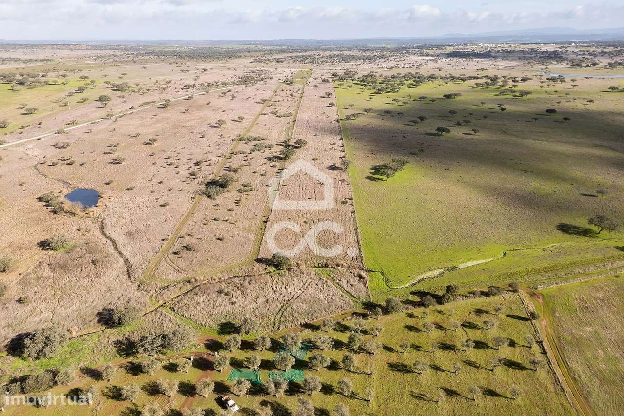 Terreno de 5,4 ha c/ Viabilidade de Construção | Capelins, Alandroal-38