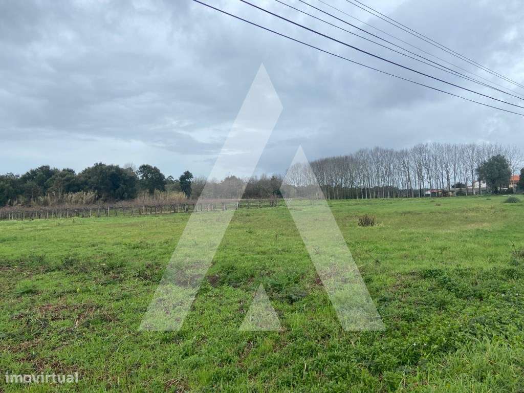 Terreno na Amoreira da Gândara em Anadia - Grande imagem: 5/11