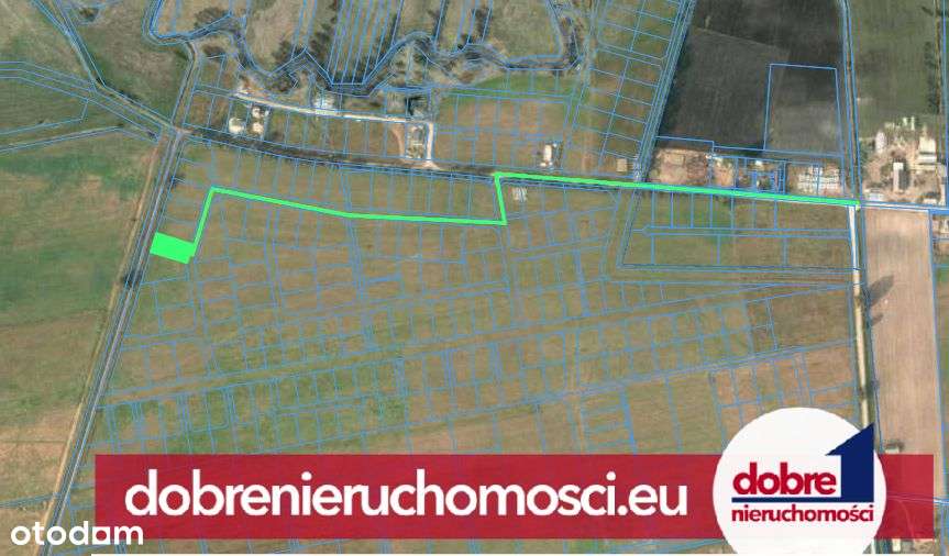 10 minut do Bydgoszczy - 975m2 - obok stadniny - Pełny obrazek: 5/5