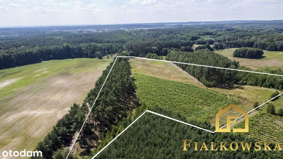 Działka rolna z istniejącą winnicą - Łaz-13