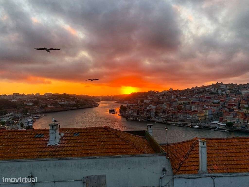 Loja - Vila Nova de Gaia-7