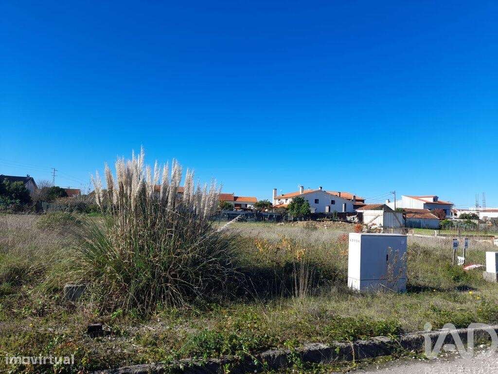 Terreno para construção em Cantanhede e Pocariça - Grande imagem: 2/4