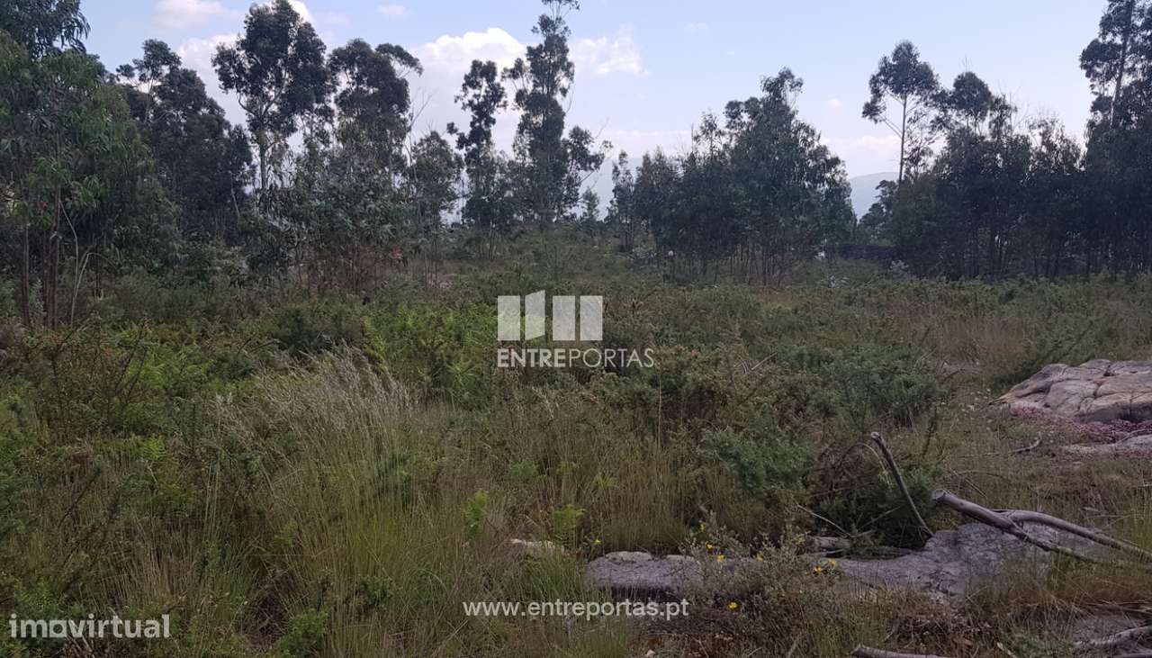 Venda Terreno, Sande, Marco de Canaveses - Grande imagem: 1/8