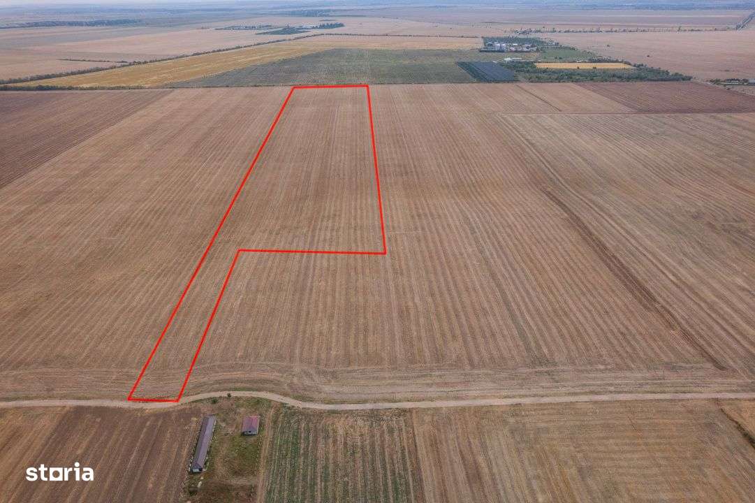 FRUMUSANI - PASAREA, TEREN 14420 MP, FRONT 40 M! - Imagine principală: 3/12