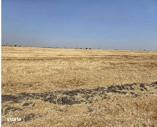 Teren extravilan Zimnicea cota parte 1/6 ID: R2688418 - Imagine principală: 5/9