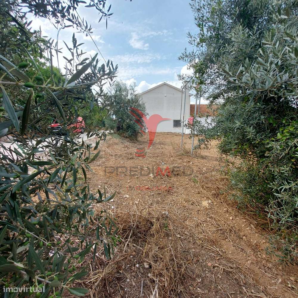Terreno Rústico com viabilidade em Abitureiras, Santarém. - Grande imagem: 4/14