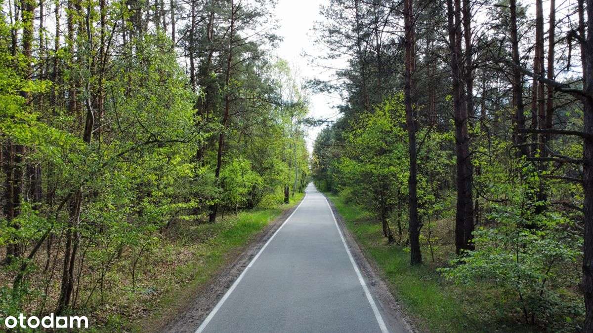 Piękna, duża, działka z potencjałem - Czarny Las - Pełny obrazek: 4/6