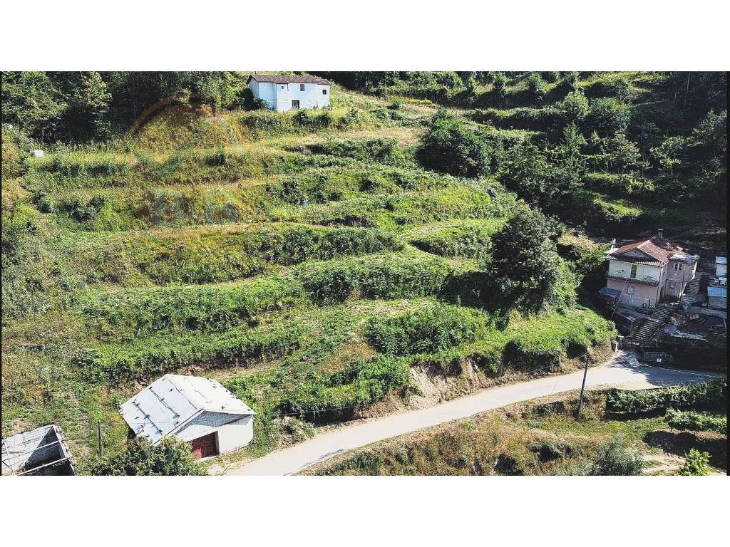 Terreno misto, com 2530 m², na Faia, Cabeceiras de Basto - Grande imagem: 3/7