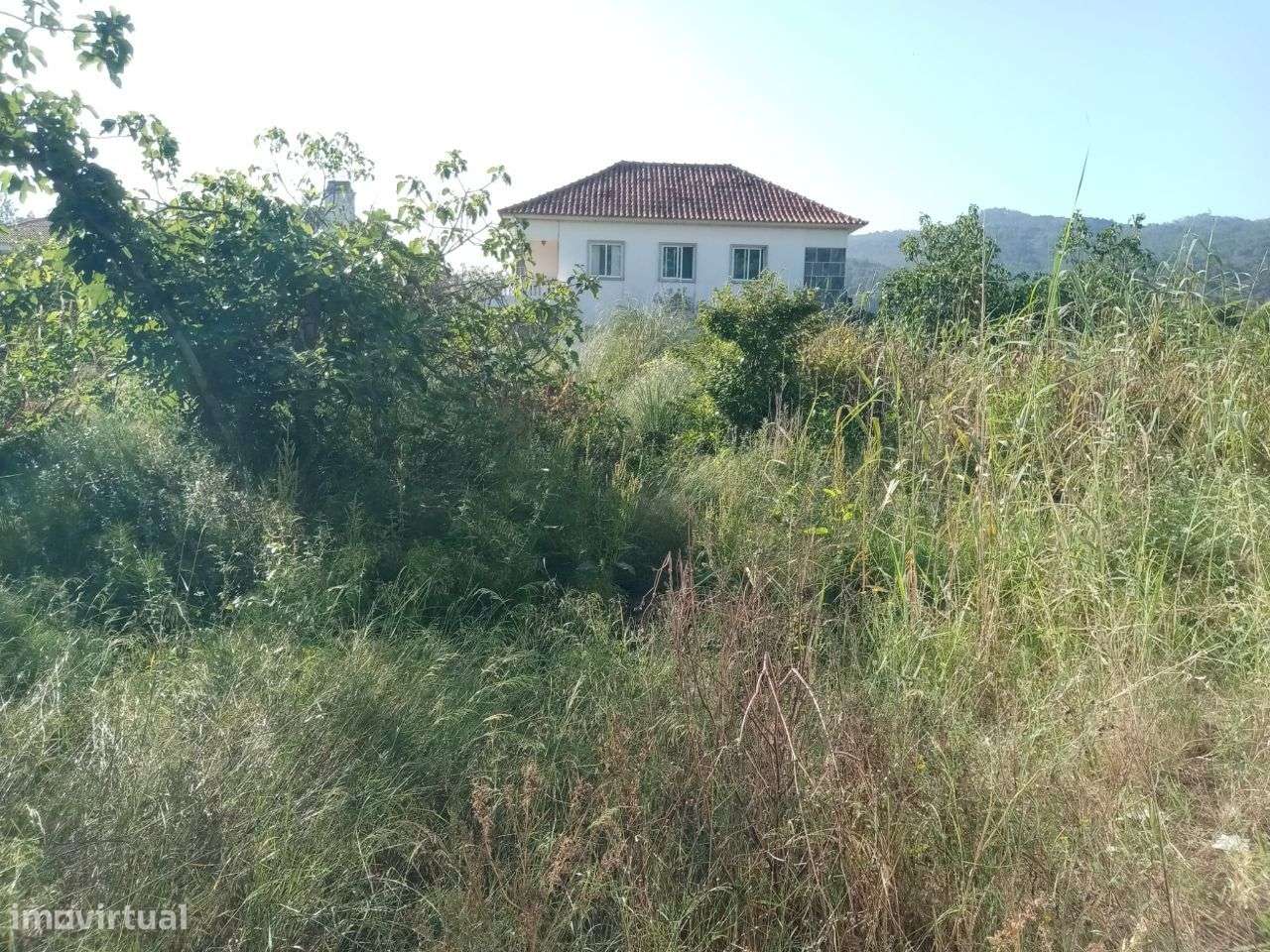 Terreno urbano em Colares-11