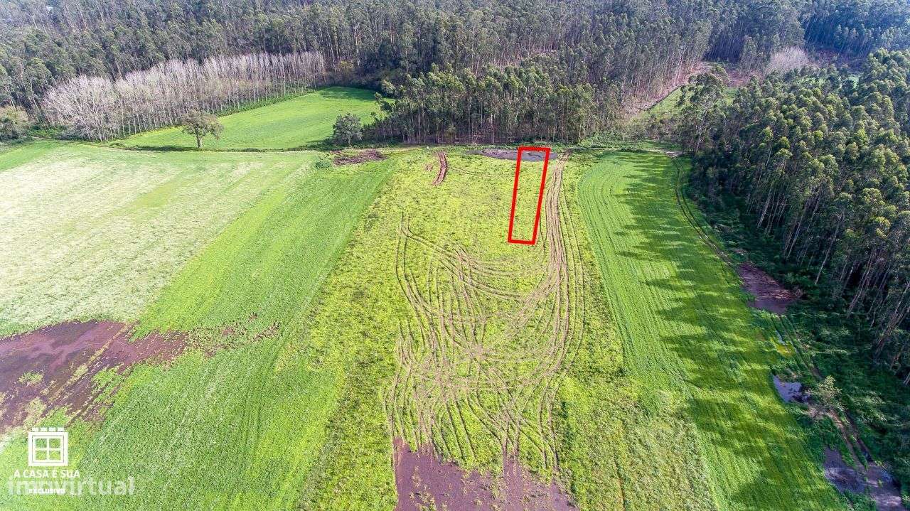 Terreno de cultivo em São João de Ovar - Exclusivo - Grande imagem: 3/12