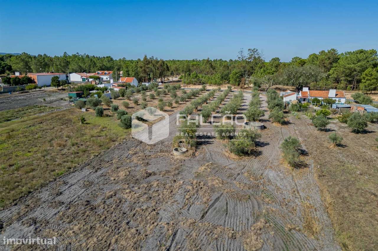 Moradia T3+2 Venda em Grândola e Santa Margarida da Serra,Grândola-24