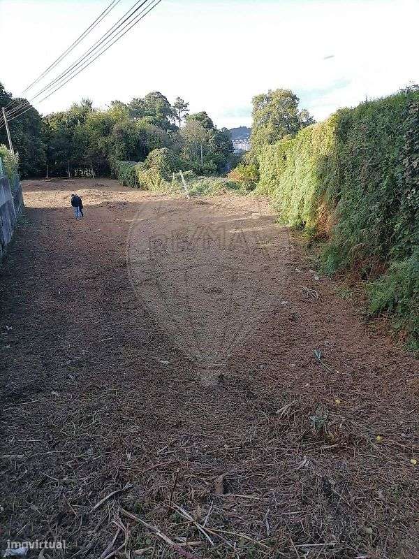 Terreno  para venda-1