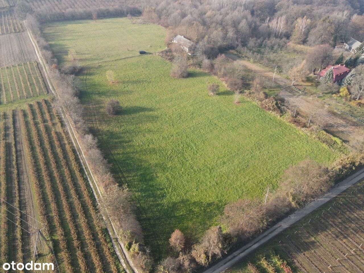 Piekna Dzialka 3km od Rynku w Kazimierzu Dolnym rolno-budowlana - Pełny obrazek: 5/10