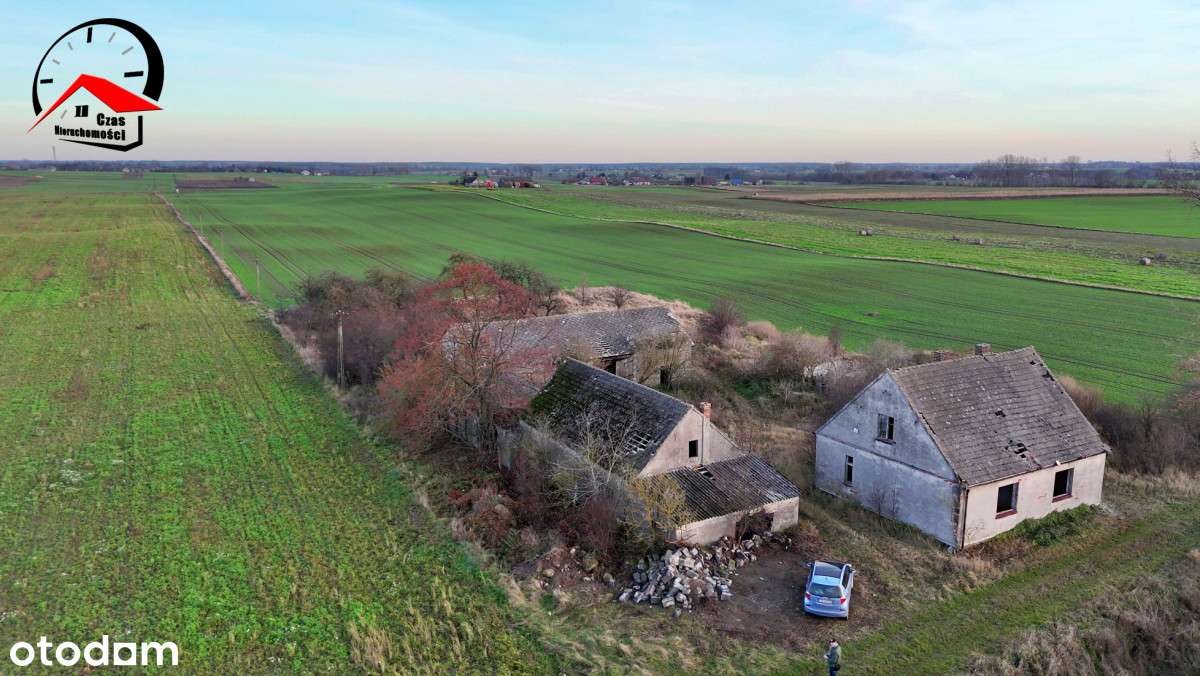 Siedlisko na sprzedaż ! - Pełny obrazek: 5/11