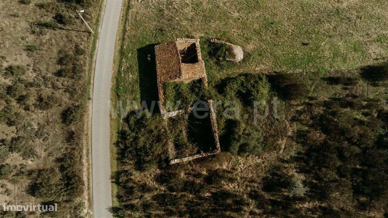 Terreno / Fundão, Enxames - Grande imagem: 4/12