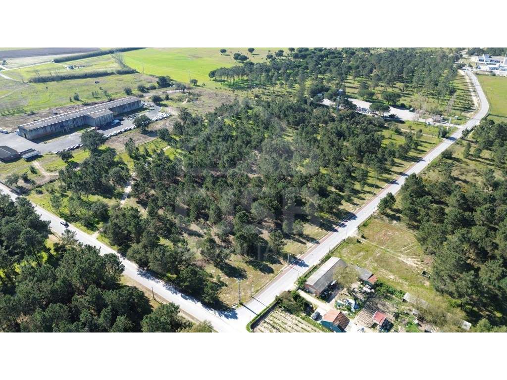 Oportunidade - 5 ha | Zona Industrial Salvaterra de Magos-1