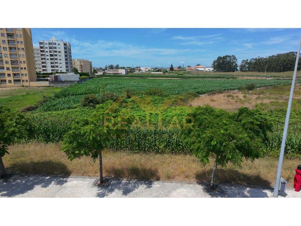 Excelente Oportunidade de Investimento: Terreno para Construção em ...-17