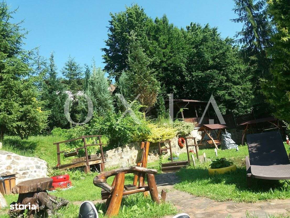 SX475 Valiug- Oportunitate de investitie in turismul montan! - Imagine principală: 5/18